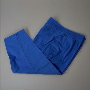 Ann Taylor women’s Vibrant Blue Chinos Size 14